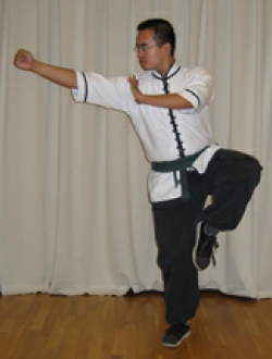 Photo of Sifu Paolo demonstrating Long Fist