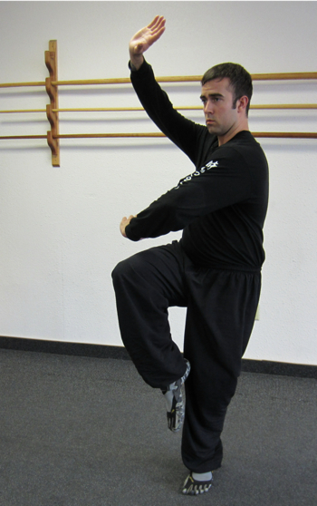 photo of single-leg stance