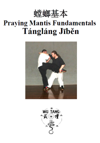 Praying Mantis Fundamentals