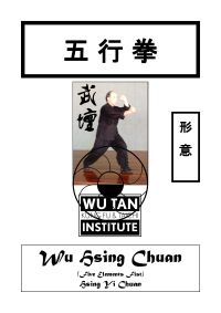 Xingyi Non Comprehensive