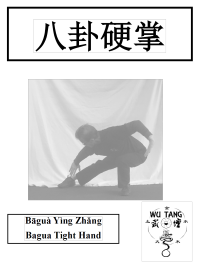 Ying Zhang Tight Hand