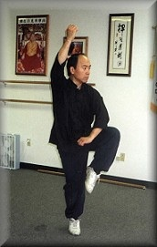 Sifu Ross Lewis
